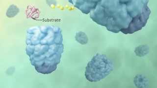 Active Cage Mechanism of ChaperoninAssisted Protein Folding Demonstrated at SingleMolecule Level [upl. by Yremogtnom821]