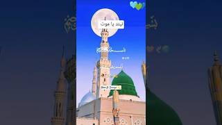 حدیثِ مبارکہ 💞nabipakﷺ peerajmalrazaqadri shortsfeed viralshort 💚💙🩵💚💙🩵💚💙🩵💚 [upl. by Sauveur597]