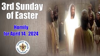 3rd Sunday of Easter  April 14 2024 Homily [upl. by Alleber]