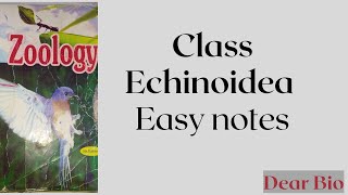 Class Echinoidea Easy Notes [upl. by Cinda]