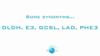 Dihydrolipoyl dehydrogenase mitochondrial recombinant protein [upl. by Boak]