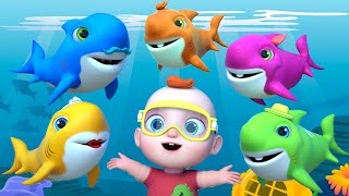 Baby Shark Learns Colors  GoBooBoo Song Nursery Rhymes amp Kids Songs [upl. by Kcirednek]