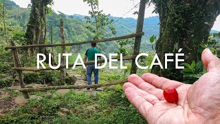 LA RUTA DEL CAFÉ ☕ CUEZALI 💚 en Cuetzalan Puebla 🌱 [upl. by Dawes]