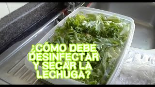 Lavar desinfectar y secar perfectamente LA LECHUGA ENSALADA [upl. by Alit]