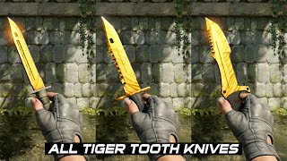 CS2 All Tiger Tooth Knives  In Game showcase 4K60FPS [upl. by Cynara]