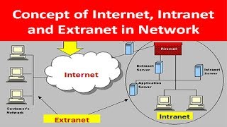 What is Internet INTRANET and ExtraNET in Network [upl. by Rori]