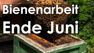 Bienen Ende Juni was ist bei den Miniplus Völkern zu tun Die LigusticaBiene [upl. by Lexa]