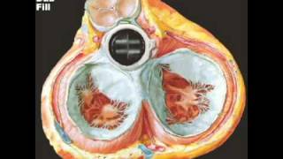 Animated Mechanical Aortic Valve [upl. by Silber]