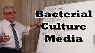 Bacterial Culture Media  مزارع البكتريا المستنبتات [upl. by Neisa]