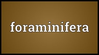 Foraminifera Meaning [upl. by Nov381]