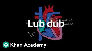 Lub Dub  Circulatory system physiology  NCLEXRN  Khan Academy [upl. by Gans978]