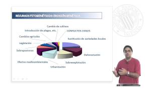 La erosión genética en los recursos fitogenéticos  8595  UPV [upl. by Melnick635]