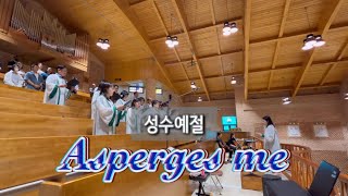 Asperges me 아스뻬르제스 메  상현동성당 쉐마성가대  2024년 8월 4일  성수예절 [upl. by Arelus]