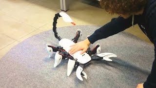 Scorpion Hexapod Robot  A Cool Robot That Has A Sting In Its Tail [upl. by Roderich]