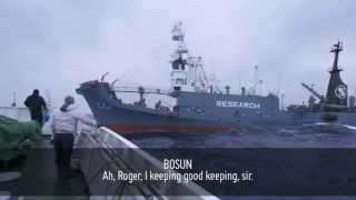 Sea Shepherd Radio Transmission Confirms Japanese Whaling Fleet Oil Tanker Spill [upl. by Mcconnell295]