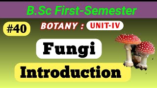 Fungi Introduction  General Characteristics Nutrition life Cycle reproduction  bsc msc fungi [upl. by Eile]