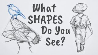 How to Draw ANYTHING Using Simple Shapes [upl. by Dulcine]