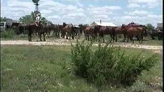 A Day in the Life of a West Texas Cowboy [upl. by Yxel]