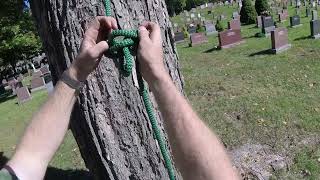 Alpine Butterfly  Arborist Knots [upl. by Orpheus770]