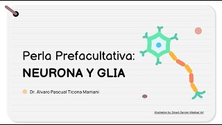 Perla Prefacultativa 19  Neurona y Neuroglia HISTOLOGIA Tema 7 [upl. by Temp]