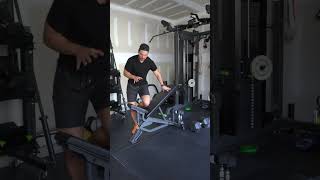 Side lying incline db lateral raise [upl. by Bithia]