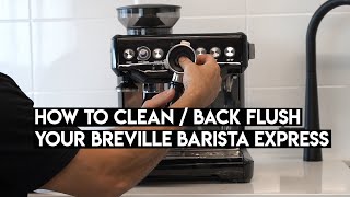 How To Clean Backflush Your Breville Barista Express [upl. by Alarick]