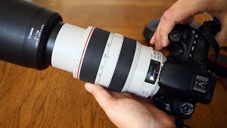 Canon 70300mm f456 IS USM L lens review with samples Fullframe and APSC [upl. by Grishilde438]