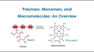 Principles of Polymer Chemistry Monomers Polymers And Macromolecules An Overview Lect 1 [upl. by Doerrer560]