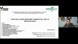 Insetos como Bioindicadores de Áreas Degradadas [upl. by Xilef]