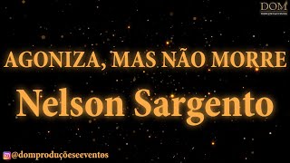 SambaOkê  Nelson Sargento  Agoniza Mas Não Morre  Karaokê [upl. by Lesslie563]