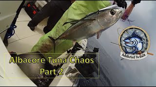 21 Albacore Tuna In A 21 Foot Boat Part 2 Of 2 Ep 924 [upl. by Amir]