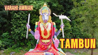 Largest Varahi Amman Statue Ipoh🇲🇾 hindutemple temples hindugods fyp [upl. by Tiernan6]