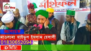 সাইফুল ইসলাম হেলালী Moulana Saiful Islam Helali  Hridoy HD Media [upl. by Herzog]