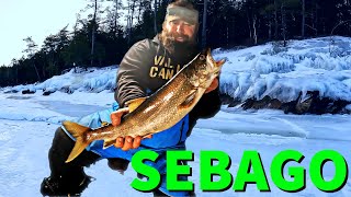 SEBAGO LAKE Trout Jigging Super deep DAY 3 [upl. by Newob548]