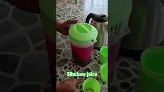 sibukawjuice [upl. by Rickie]