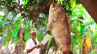 20KG GIANT HAMOUR FISH CURRY  Village Traditional Meen Kulambu  Prepare by Karupasamy Grand Father [upl. by Ahsemaj241]