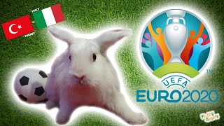 UEFA Euro 2020  Turkey vs Italy  Bunny Rabbit Football Soccer Score Predictions [upl. by Allayne]