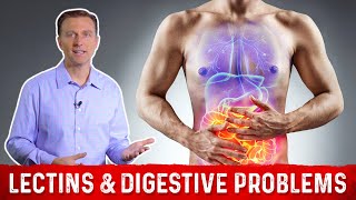 High amp Low Lectin Foods amp Digestive Problems Explained by DrBerg [upl. by Erdman]