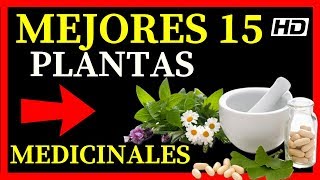 Lista de 15 Plantas Medicinales 💚 De Las Mejores Que Existen y Sus Usos💚 [upl. by Eciryt265]