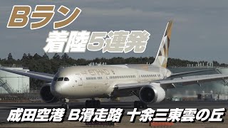 【4K】成田空港 十余三東雲の丘 Ｂランに着陸する飛行機５連発 [upl. by Pliner]