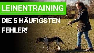 🐶 Vermeide diese 5 häufigsten Fehler beim Hunde Leinentraining ➡️ Praxisvideo 🐶✔️ [upl. by Barncard160]