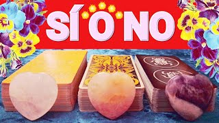 🔴 TAROT SI O NO ✅ TAROT interactivo HOY 💕 ELIGE HASTA 3 OPCIONES PARA 3 PREGUNTAS 🌞 Tarot reciente [upl. by Aileno]