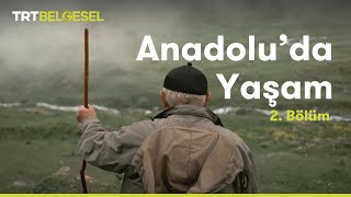 Anadoluda Yaşam  Yayla  TRT Belgesel [upl. by Ahsiekat]