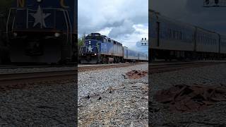 Amtrak Piedmont train P075 departs Raleigh NC at Powell Drive 1022024 [upl. by Nnyliak]