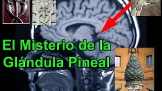 Glándula Pineal La Puerta de la Matrix [upl. by Smalley]