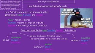 Intro to Adjectival Agreement [upl. by Ardnwahsal]