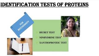 Identification tests for proteinsBiuret testNinhydrin testXanthoproteic testShiv Bhadra Singh [upl. by Mill]