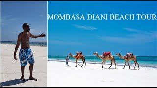 Mombasa City  Diani Beach  Paradise Place to Visit in South Coast Kenya 🇰🇪🏖 [upl. by Deidre]