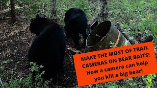 Trail cameras at bear baits How to make the most of them [upl. by Lillie]