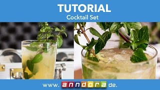 Cocktails Selbermachen DIY  WEISSBIER MOJITO anndorade [upl. by Athiste]